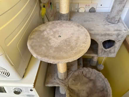 Photo of free Cat play gym (Little Singleton FY6) #3