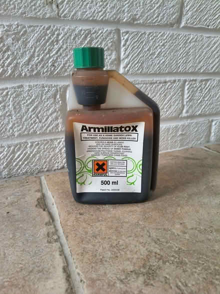 Photo of free Armillatox (Brooke NR15) #1