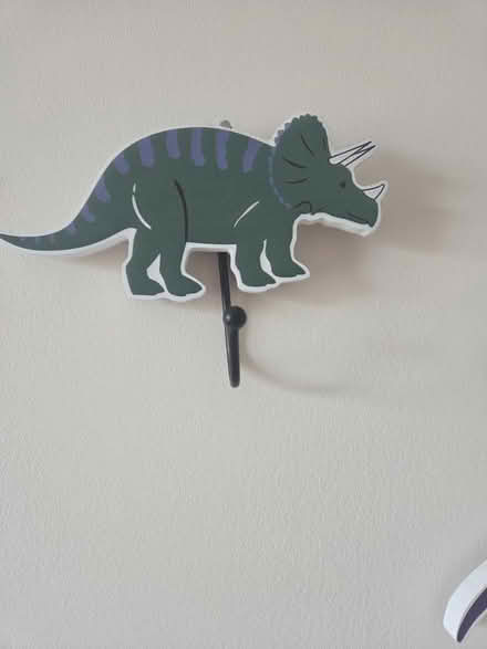 Photo of free Kids X3 dinosaur coat pegs (Great Leighs CM3) #3