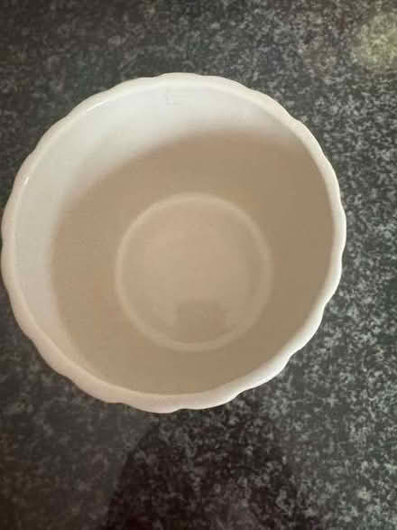 Photo of free Small cream plant pot (Balcombe RH17) #1