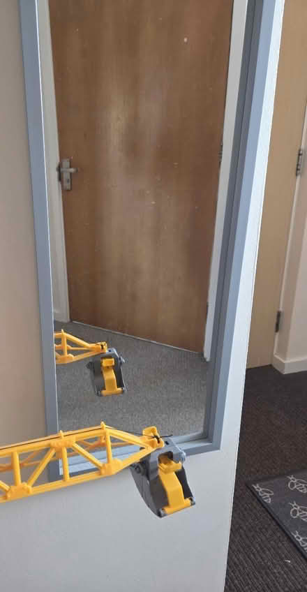 Photo of free Grey full length mirror (Great Leighs CM3) #3