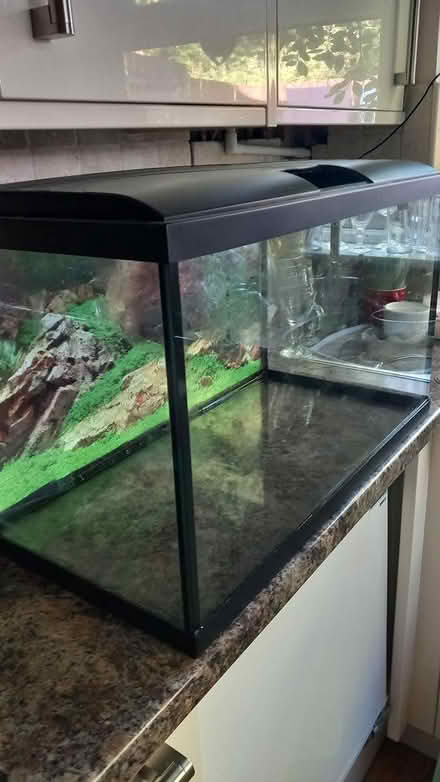 Photo of free Smelly fish tank needs good clean (OL12) #1