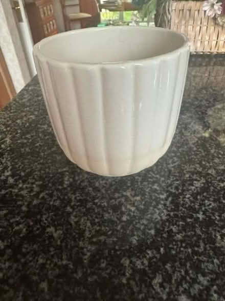 Photo of free Small cream plant pot (Balcombe RH17) #2