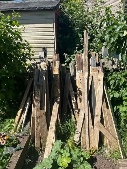 Photo of free Pallet Wood (Staple Hill BS16) #1