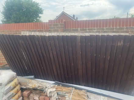 Photo of free Fence panels (TW19) #1