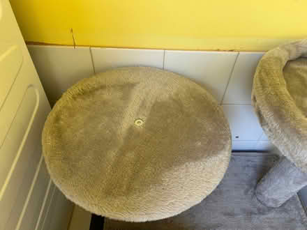 Photo of free Cat play gym (Little Singleton FY6) #4