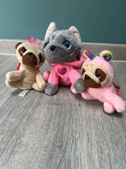 Photo of free 3 Small Pug Plush toys. (Southsea PO4) #1