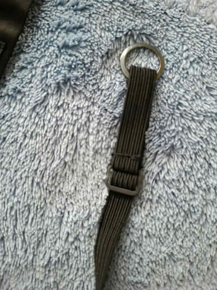 Photo of free Bow tie (Welling DA16) #3