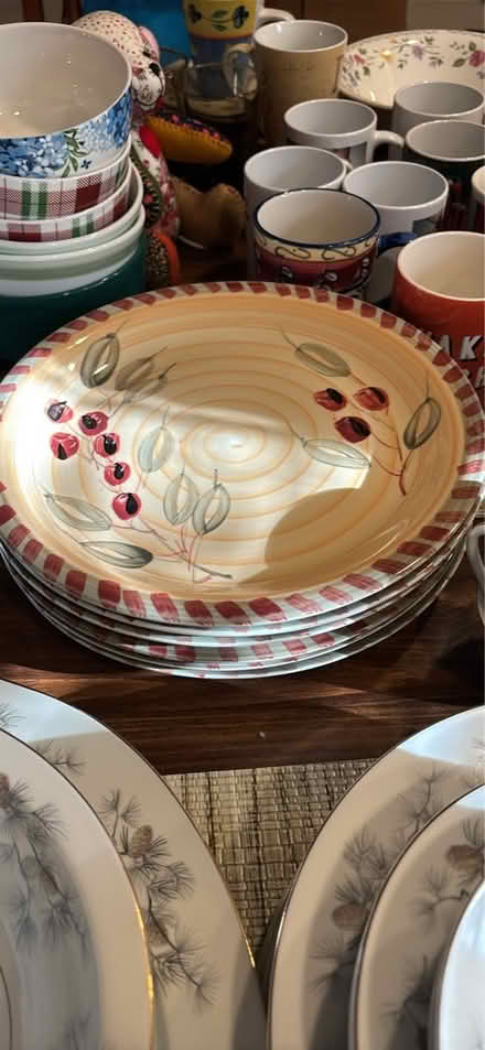 Photo of free today only (Clearwater/Dunedin border) #2