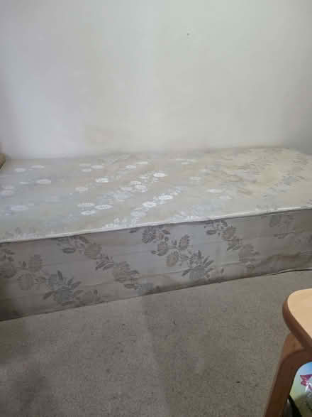 Photo of free Divan / Single Bed (Central IP4) #1
