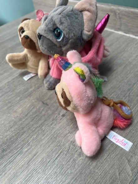 Photo of free 3 Small Pug Plush toys. (Southsea PO4) #3