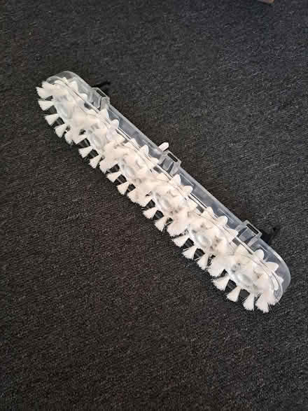 Photo of free Brush (Dartford DA1) #1