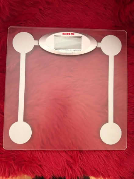 Photo of free EKS scale (Hampstead Heath) #1