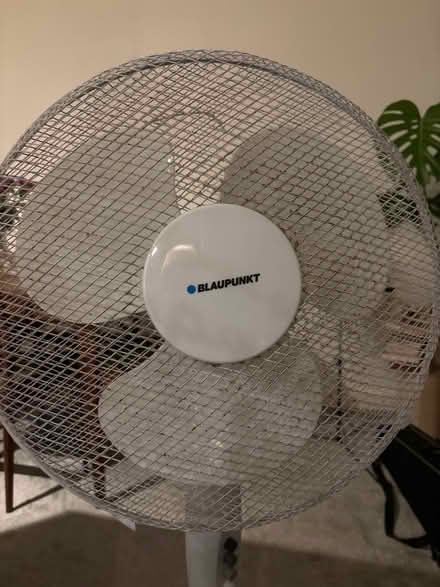 Photo of free Fan, has some dust in frame (Peckham) #1