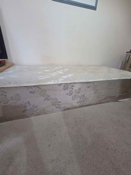 Photo of free Divan / Single Bed (Central IP4) #2