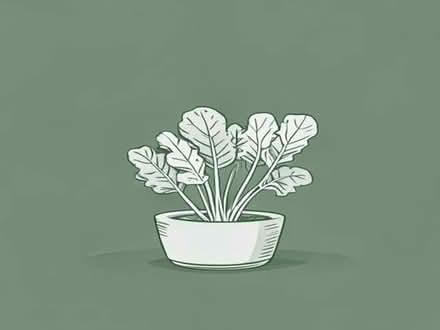 Photo of Veg plants (Woodhouse Eaves LE12) #1
