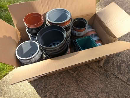 Photo of free Plastic plant pots various sizes (Upper Radley OX14) #1