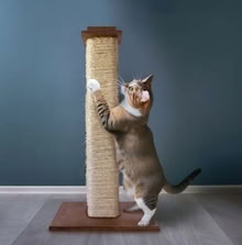 Photo of Cat scratching post (Longton PR4) #1