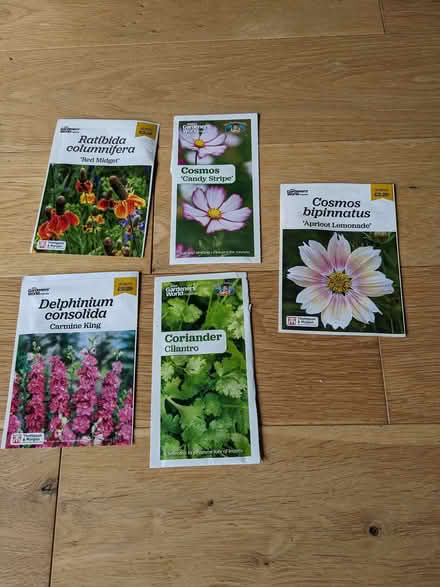 Photo of free Seeds (Middlewood S6) #1