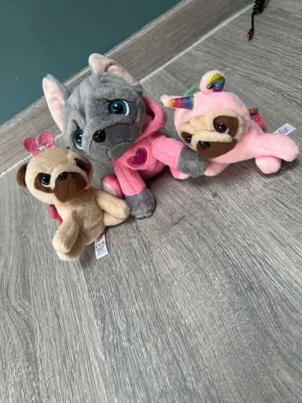 Photo of free 3 Small Pug Plush toys. (Southsea PO4) #2