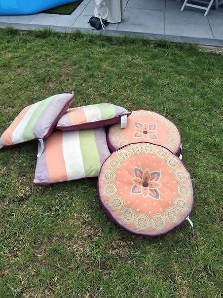 Photo of free Outdoor floor cushions (Danbury, Chelmsford CM3) #2