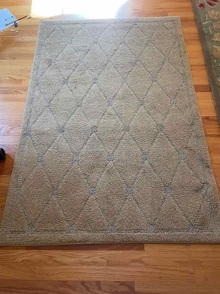 Photo of free Tan Rug 40" x 60" (Katonah, NY) #1