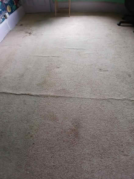 Photo of free old carpet (Ramsgate CT11) #1