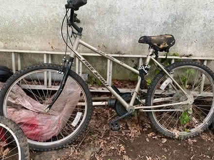 Photo of free Bicycles (Hopatcong) #1