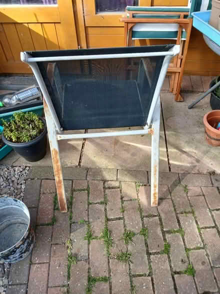 Photo of free Garden chairs (Norton) #2
