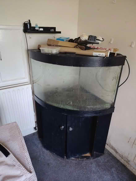 Photo of free Aquarium (Portsmouth PO1) #1