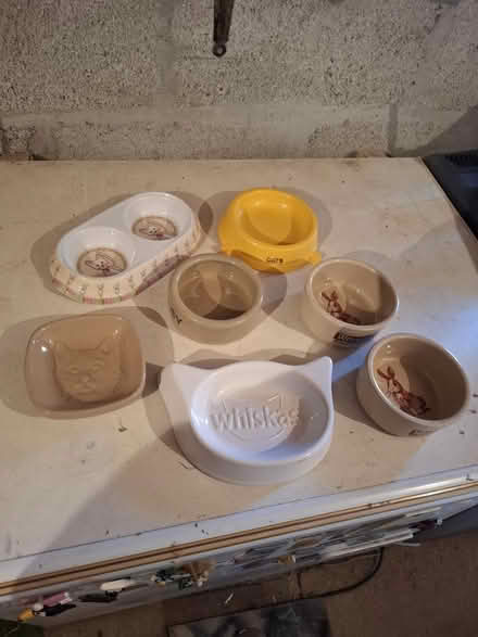 Photo of free Cat and bunny bowls (Threemilestone Truro) #1