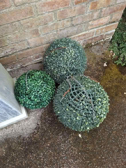 Photo of free Various size Topiary balls (Wickham PO17) #2