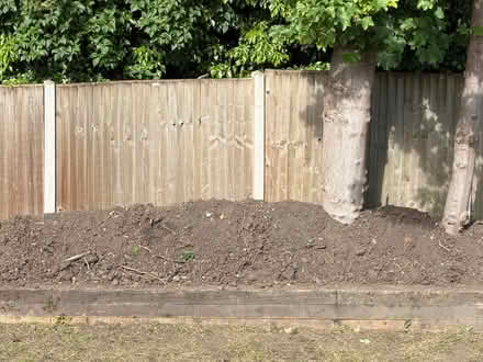 Photo of free Garden Soil (Wandsworth SW18) #2