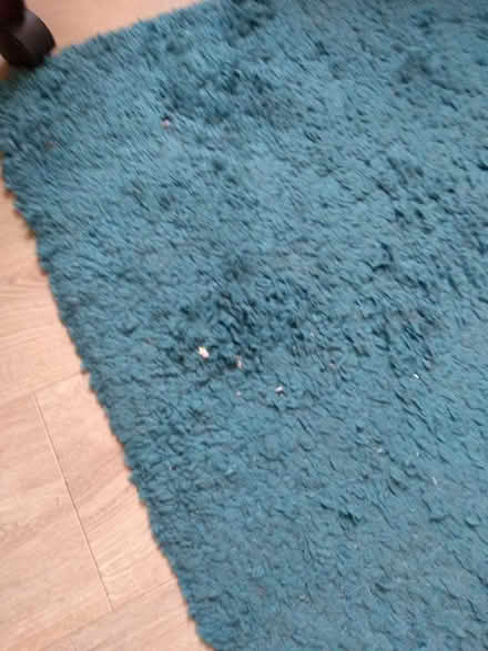Photo of free Blue/teal rug (Newent GL18) #1