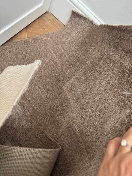 Photo of free Neutral light brown carpet (Pembury TN2) #1