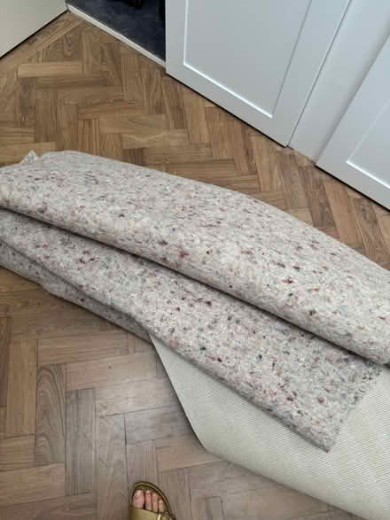 Photo of free Neutral light brown carpet (Pembury TN2) #3