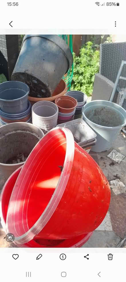 Photo of free Plastic plant pots (Kingsthorpe) #1