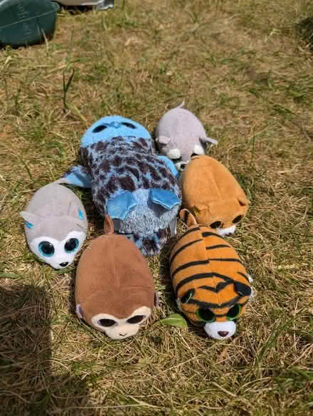 Photo of free Beanie Babies (St Albans AL1) #1