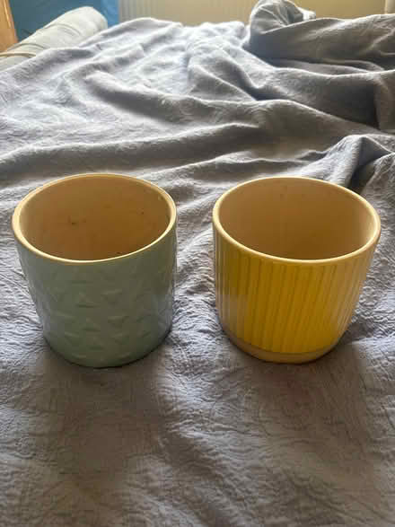 Photo of free Plant Pots (Bray SL6) #1
