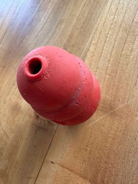 Photo of free Small dog Kong (Nailsworth GL6) #1