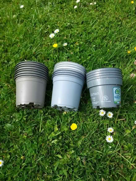 Photo of free Plant pots (Kilmacanogue, North Co Wicklow) #1