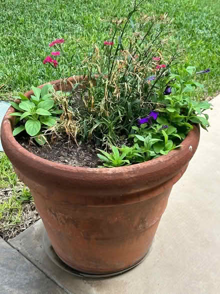 Photo of free 2 Large floor planters (571 rockledgeDrive) #1