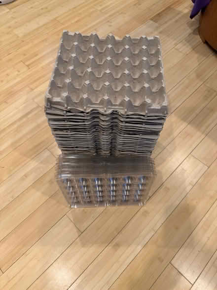 Photo of free egg crates with cover (Fair Lawn, NJ) #1