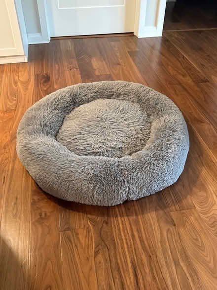 Photo of free Fluffy dog bed for large dog (Jamaica Plain off washington) #1