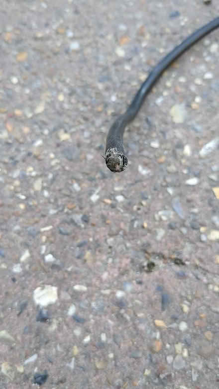 Photo of free Antenna cable (Great Yarmouth NR30) #2