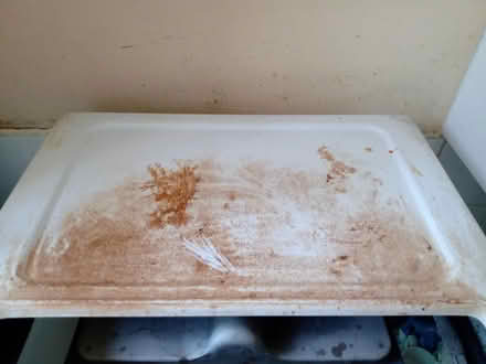 Photo of free Beko Cooker (Clerkenwell Road EC1R) #2