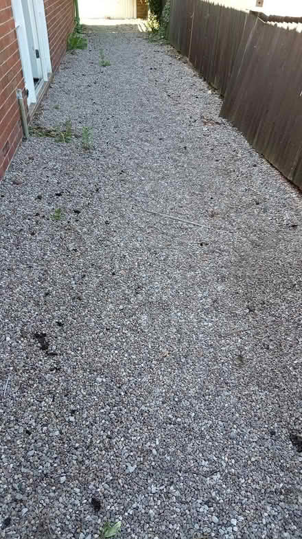 Photo of free Pea sized Gravel (Chell ST6) #3