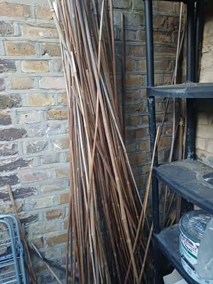 Photo of free Loads of bamboo (Wood Green N22) #1