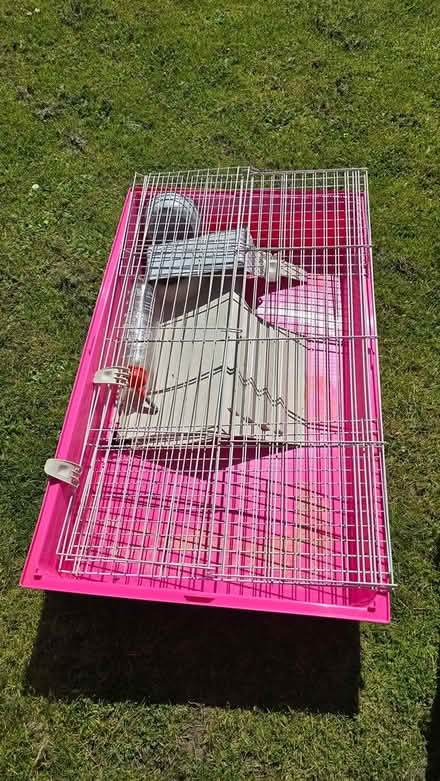 Photo of free Guinea pig pet indoor cage (Morpeth NE65) #1