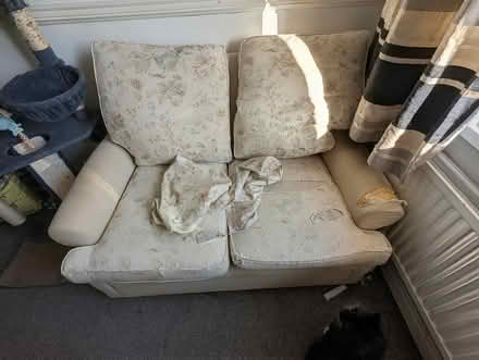 Photo of free Sofa Bed (Park Hill S2) #2
